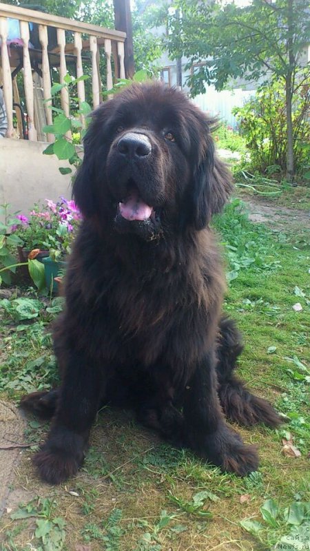 Фотография № 160941