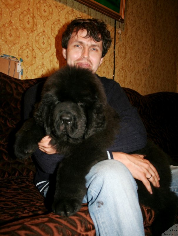 Фотография № 160945