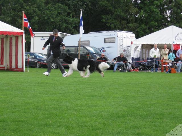 Фотография № 16097