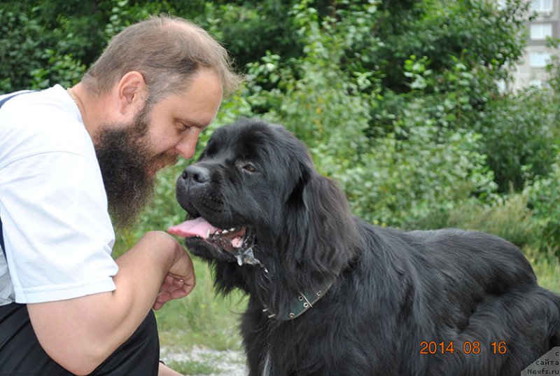 Фотография № 161050