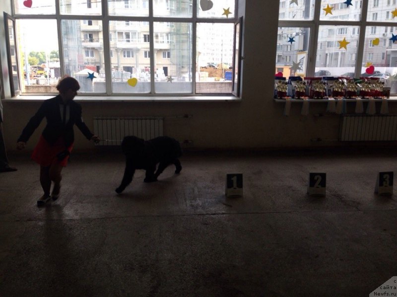 Фотография № 161059