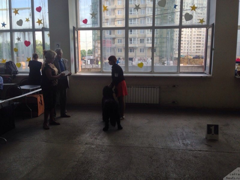 Фотография № 161060