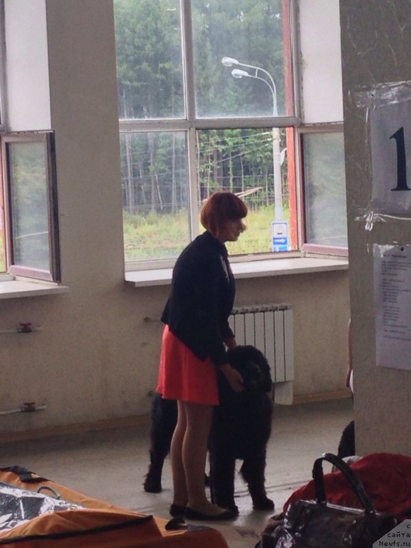 Фотография № 161061