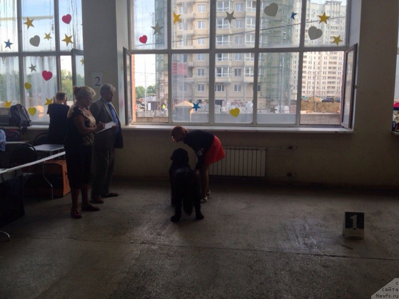 Фотография № 161062