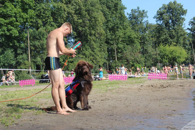 Фотография № 161064