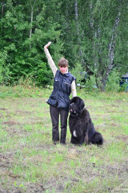 Фотография № 161066