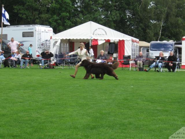 Фотография № 16108