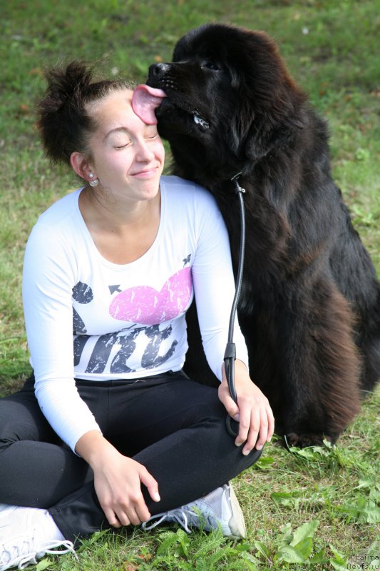 Фото: ньюфаундленд Guliver Moon Bear, Anastasiya Rozenfel'd (Анастасия Розенфельд)