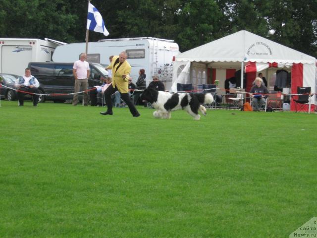 Фотография № 16110