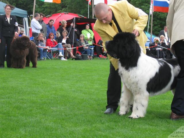 Фотография № 16111