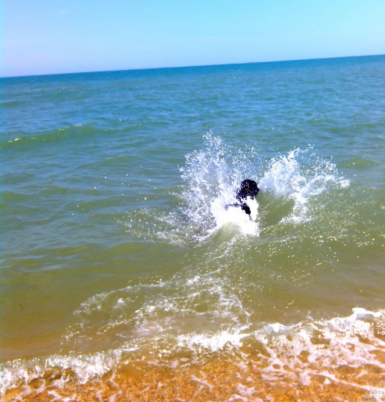 Фотография № 161115