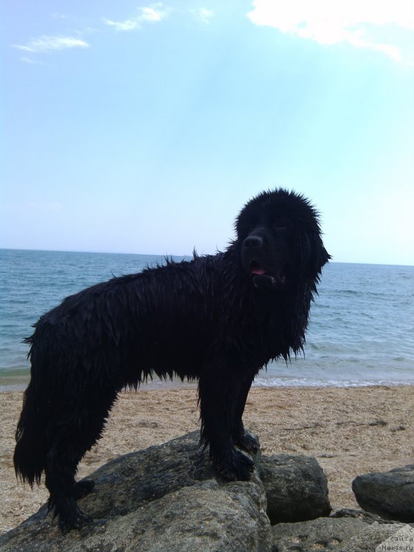 Фотография № 161116