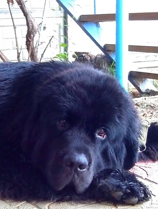 Фотография № 161117