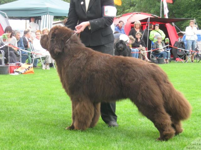 Фотография № 16114