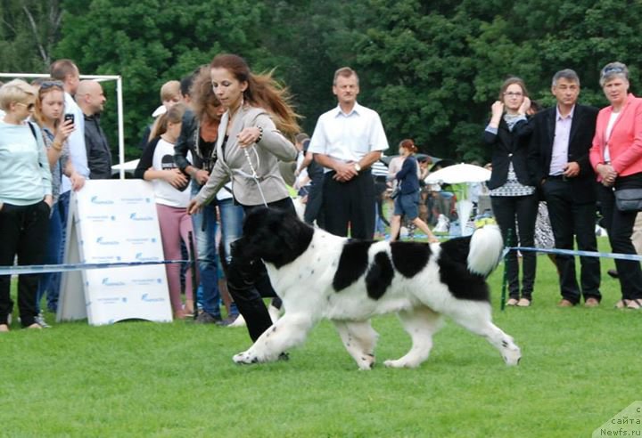 Фотография № 161140