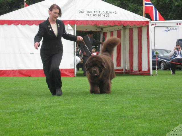 Фотография № 16115