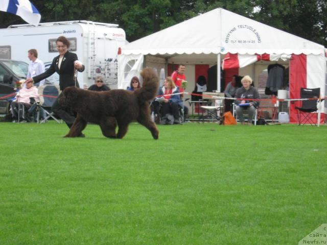 Фотография № 16116