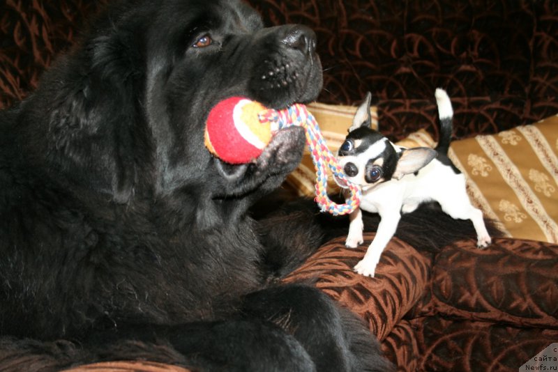 Фотография № 161166