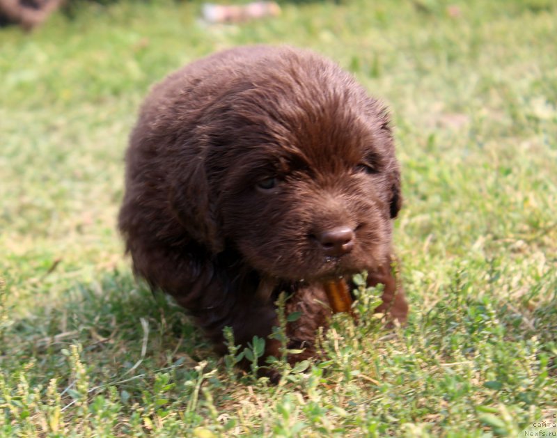 Фотография № 161177