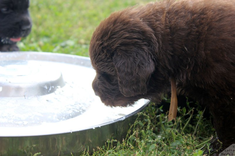 Фотография № 161182