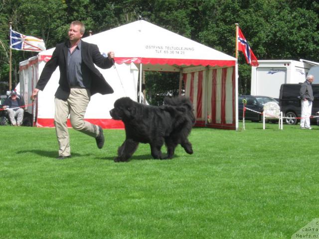 Фотография № 16119