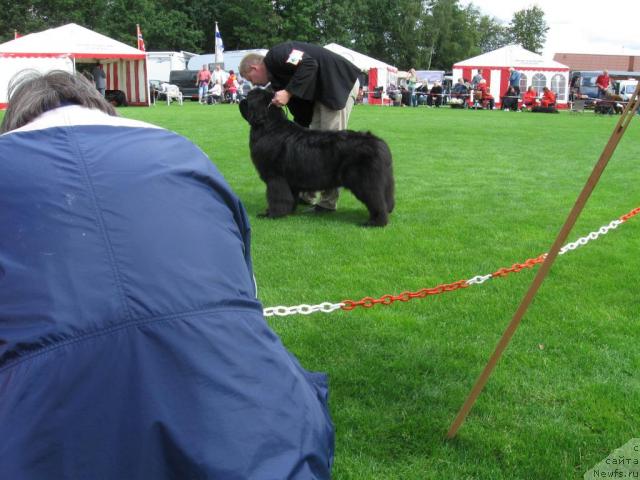 Фотография № 16120