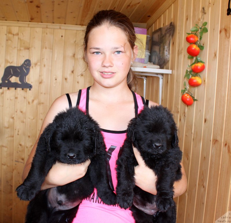 Фотография № 161211