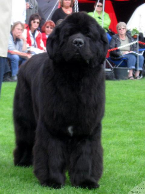 Фото: Freedom Parming V. Schonbuhl