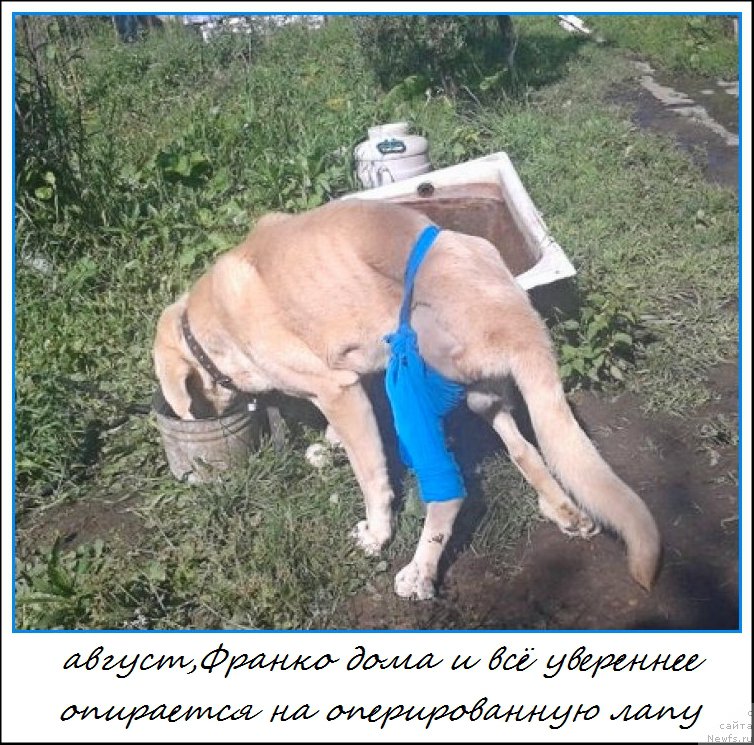 Фотография № 161228