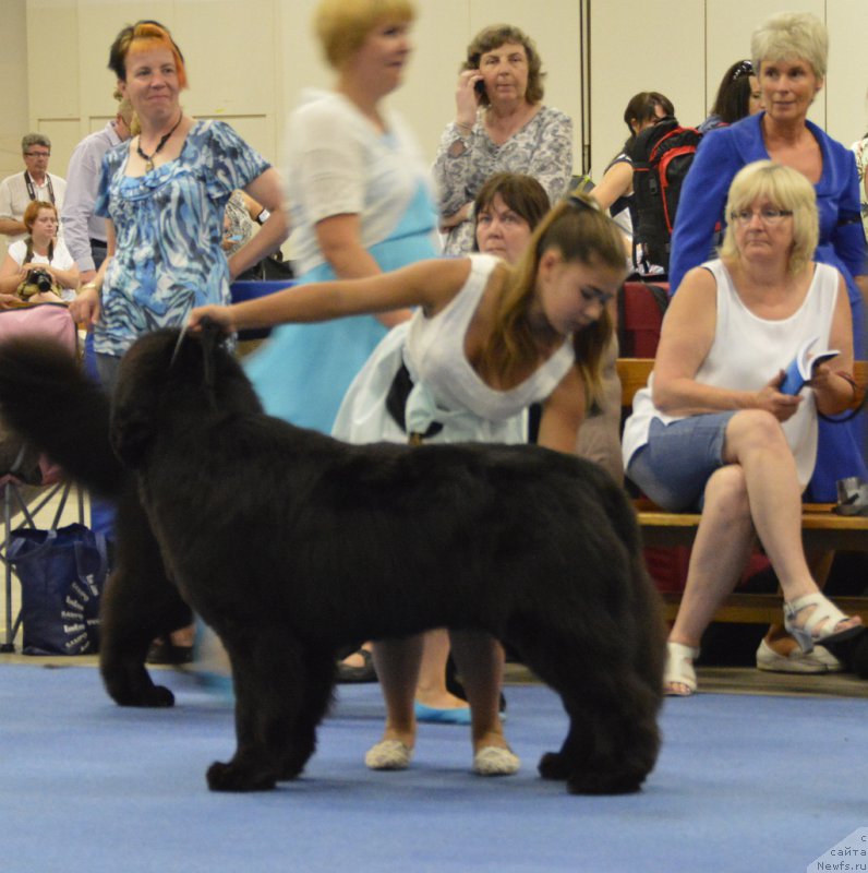 Фотография № 161229