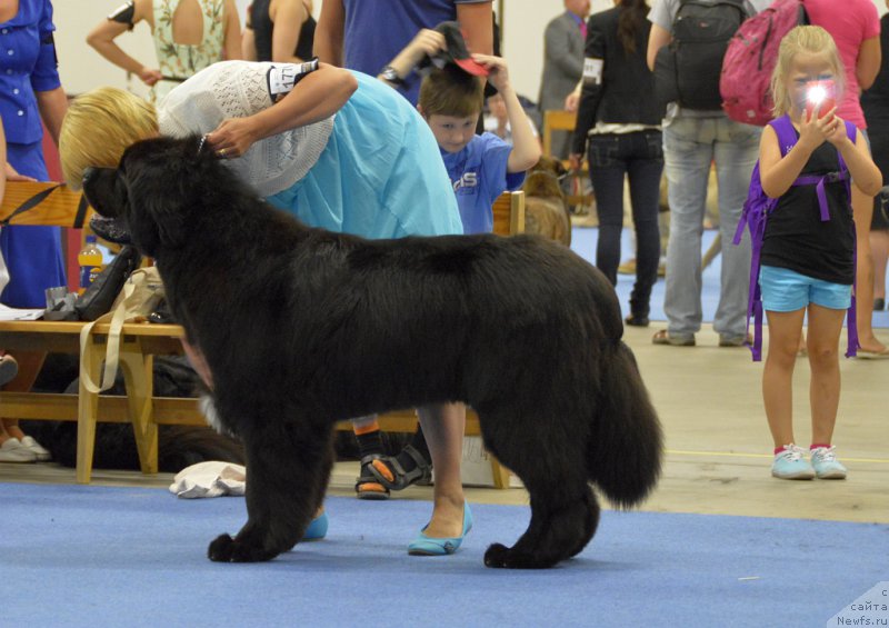 Фотография № 161230