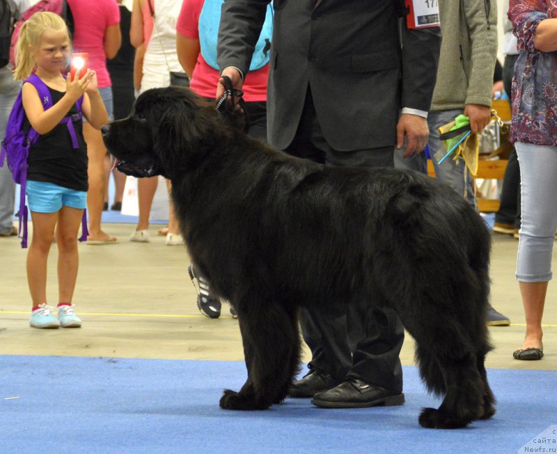 Фотография № 161231