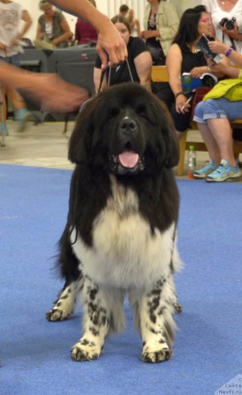 Фотография № 161235