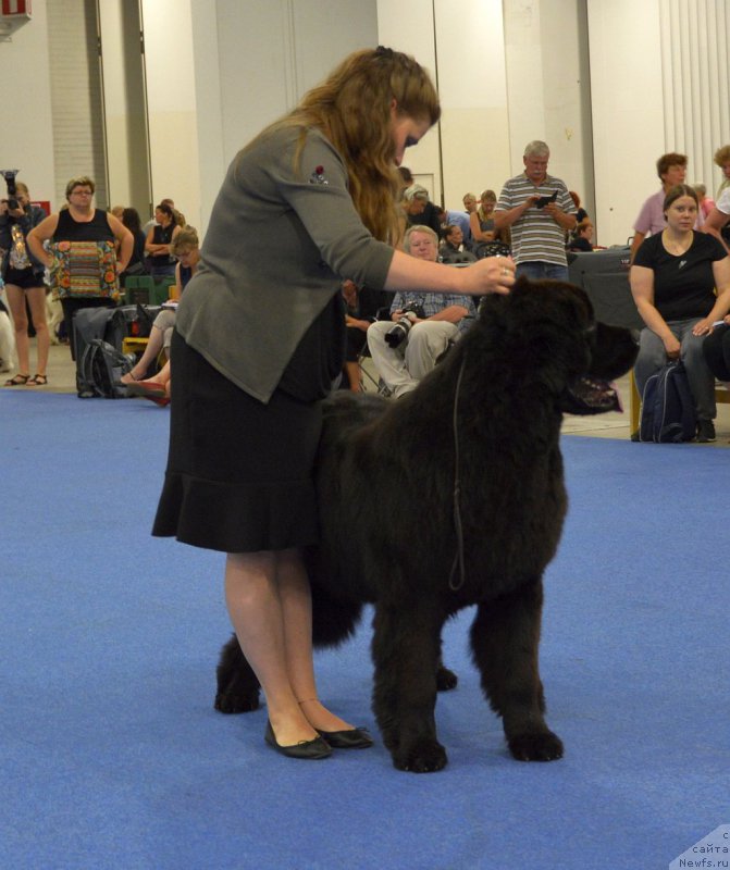 Фотография № 161236