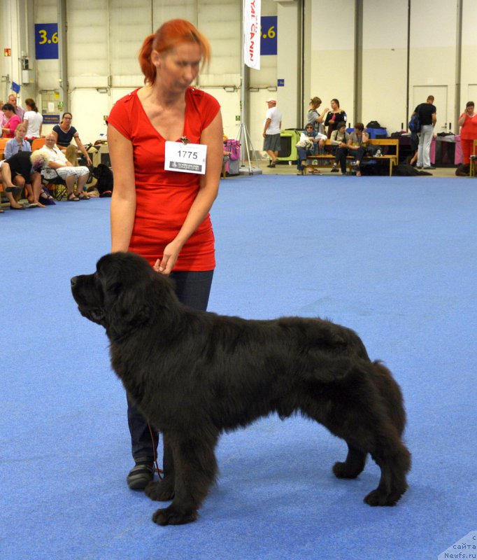 Фотография № 161237