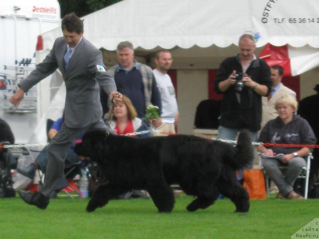 Фотография № 16124