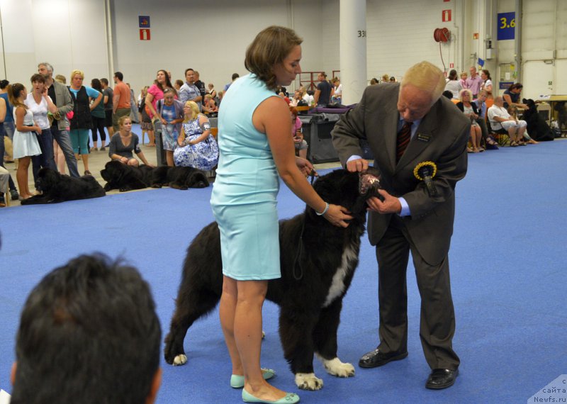 Фотография № 161240