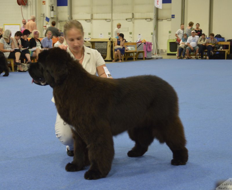 Фотография № 161244