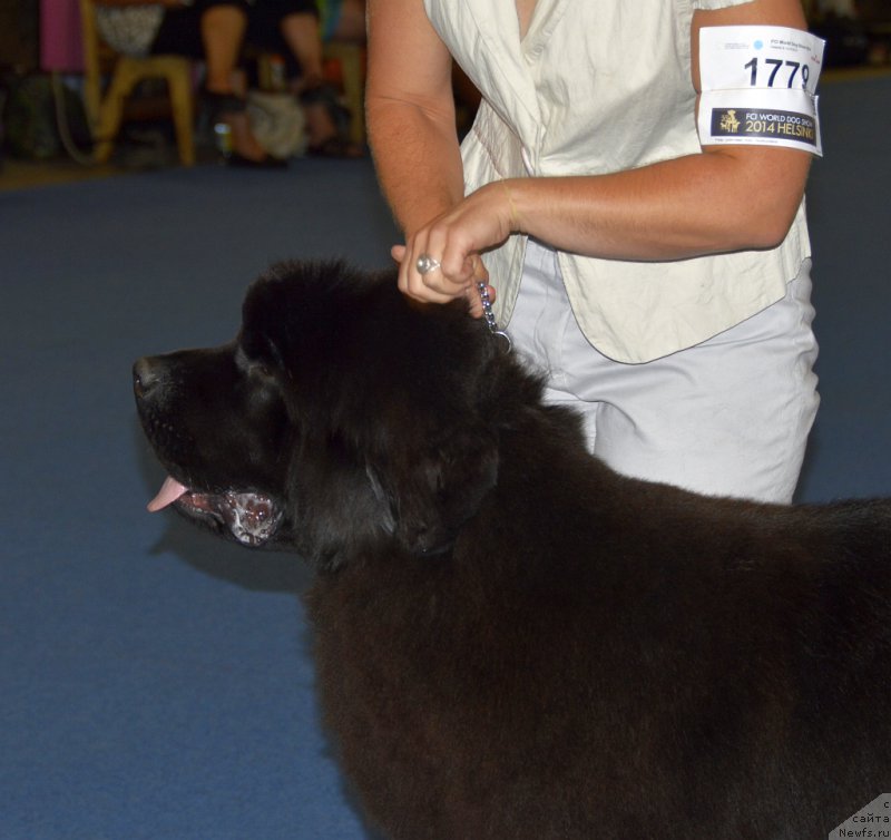 Фотография № 161245