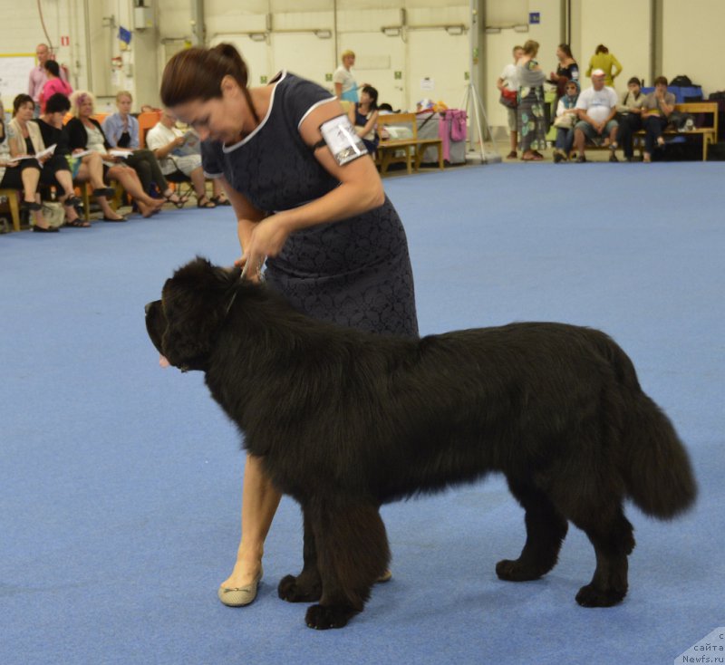 Фотография № 161246