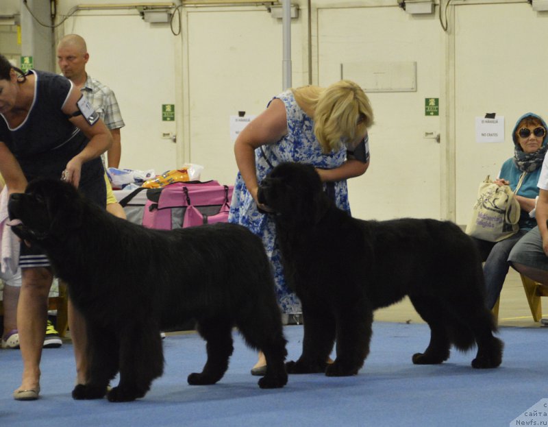 Фотография № 161247