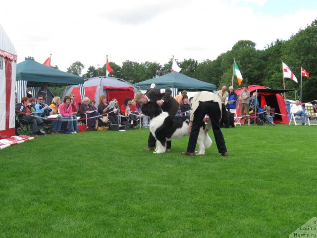 Фотография № 16125