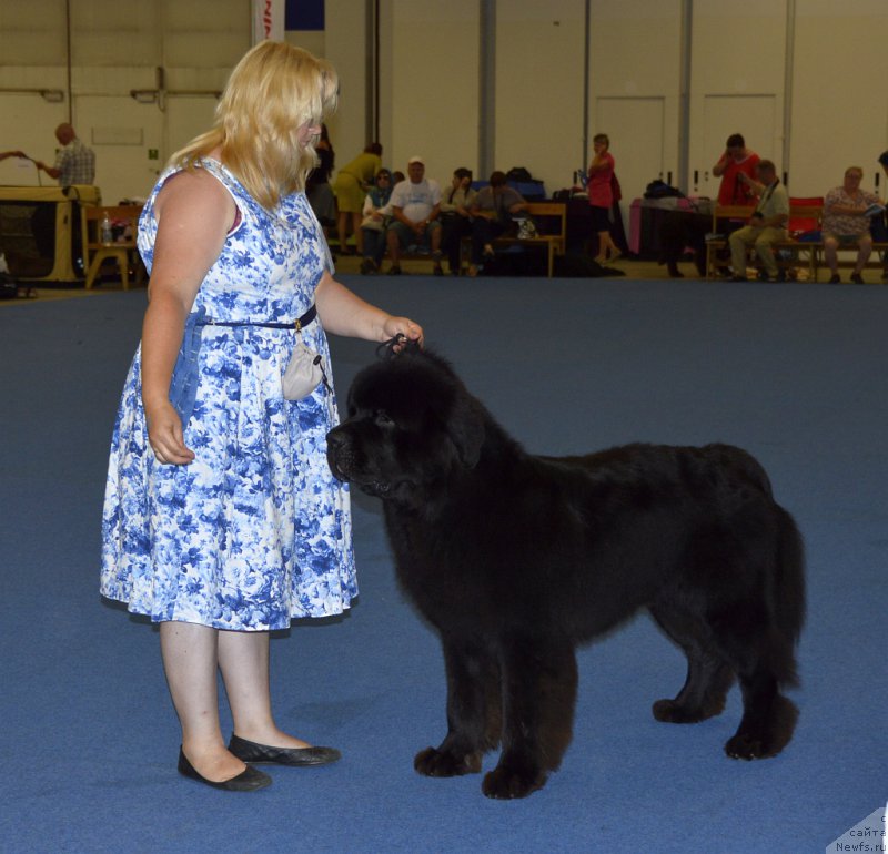 Фотография № 161250