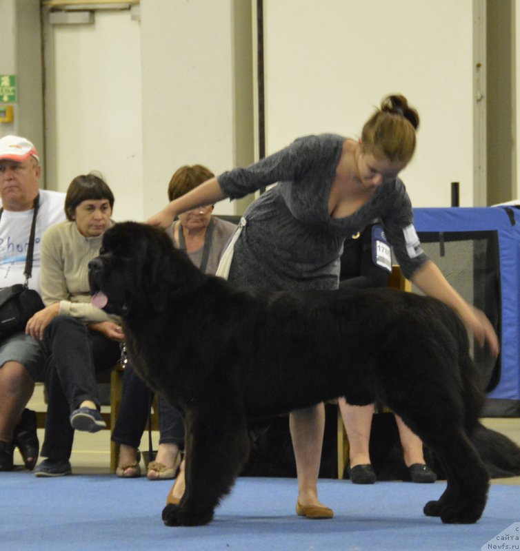 Фотография № 161251