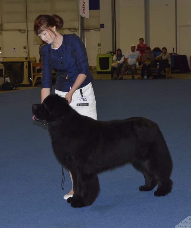 Фото: Wave Seeker's May T Force B With U