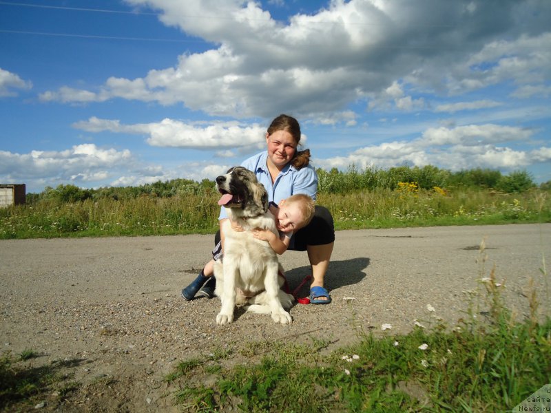 Фотография № 161324