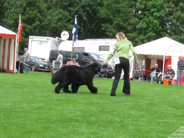 Фото: Merufe's Great Performer