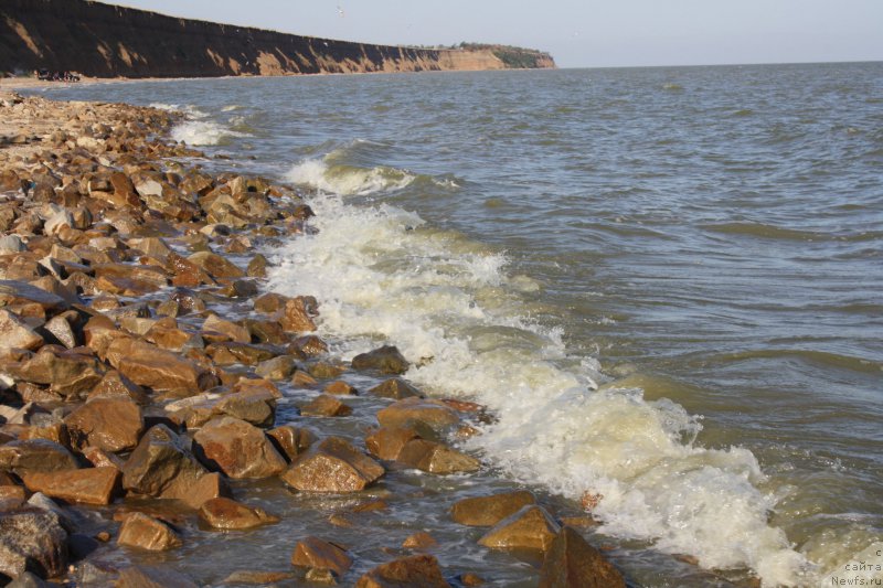 Фотография № 161356