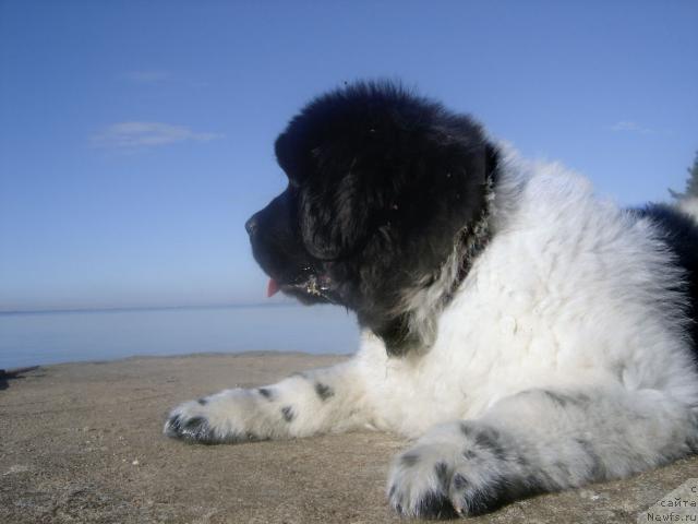 Фотография № 16136