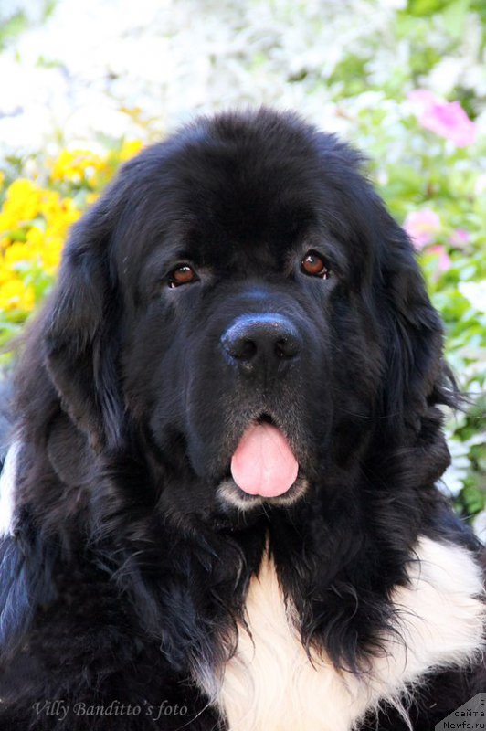 Фотография № 161362